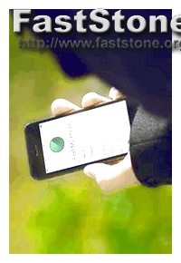 Mspy Whatsapp